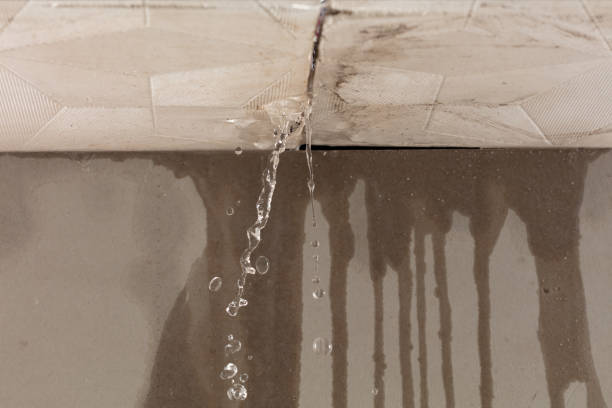 Professional Flood Damage Cleanup technician working in Lake Bluff, IL